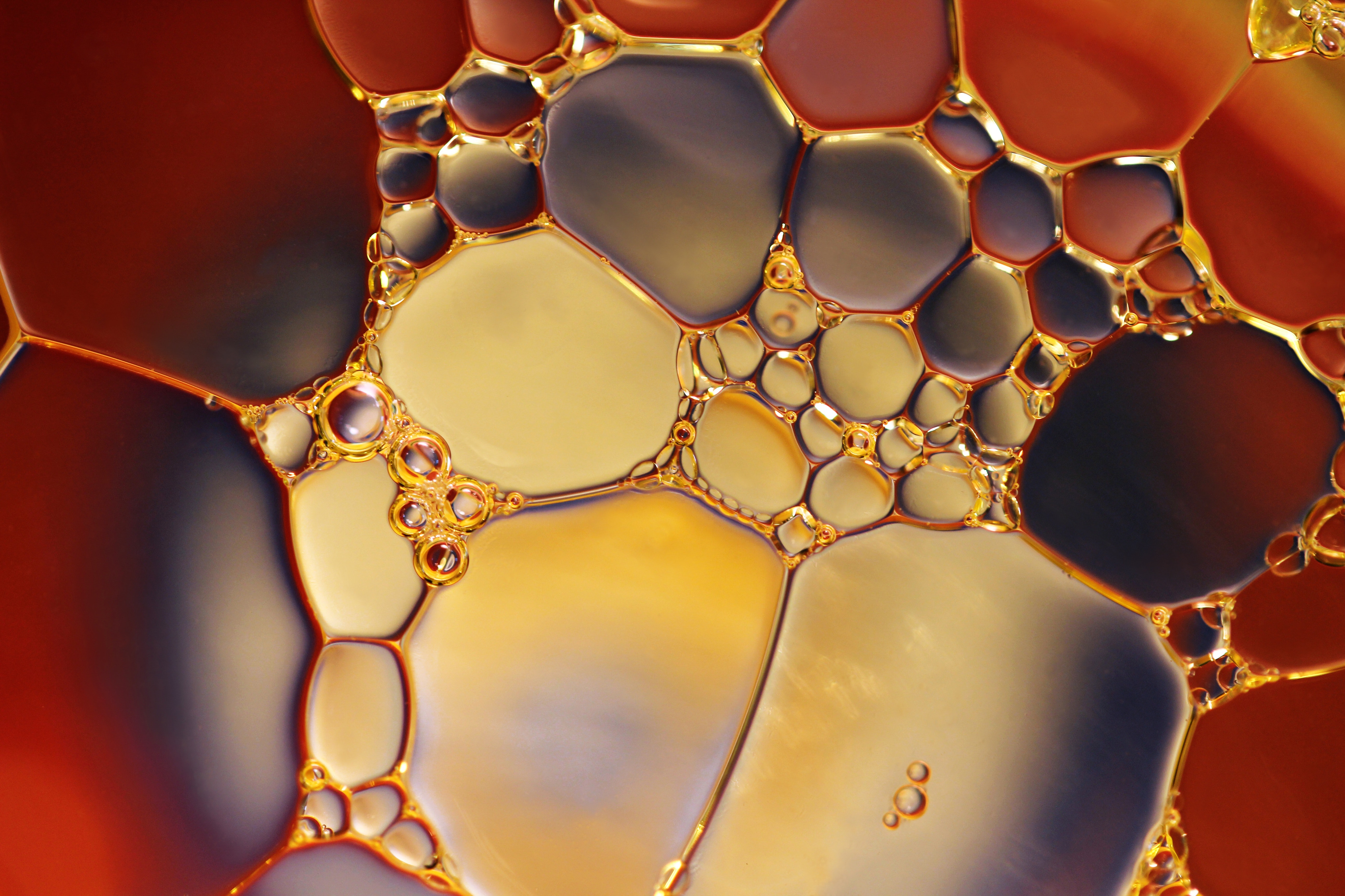 bubbles-chemistry-close-up-220989.jpg